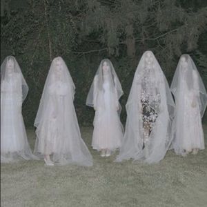 Meet your Posher, Kiwi